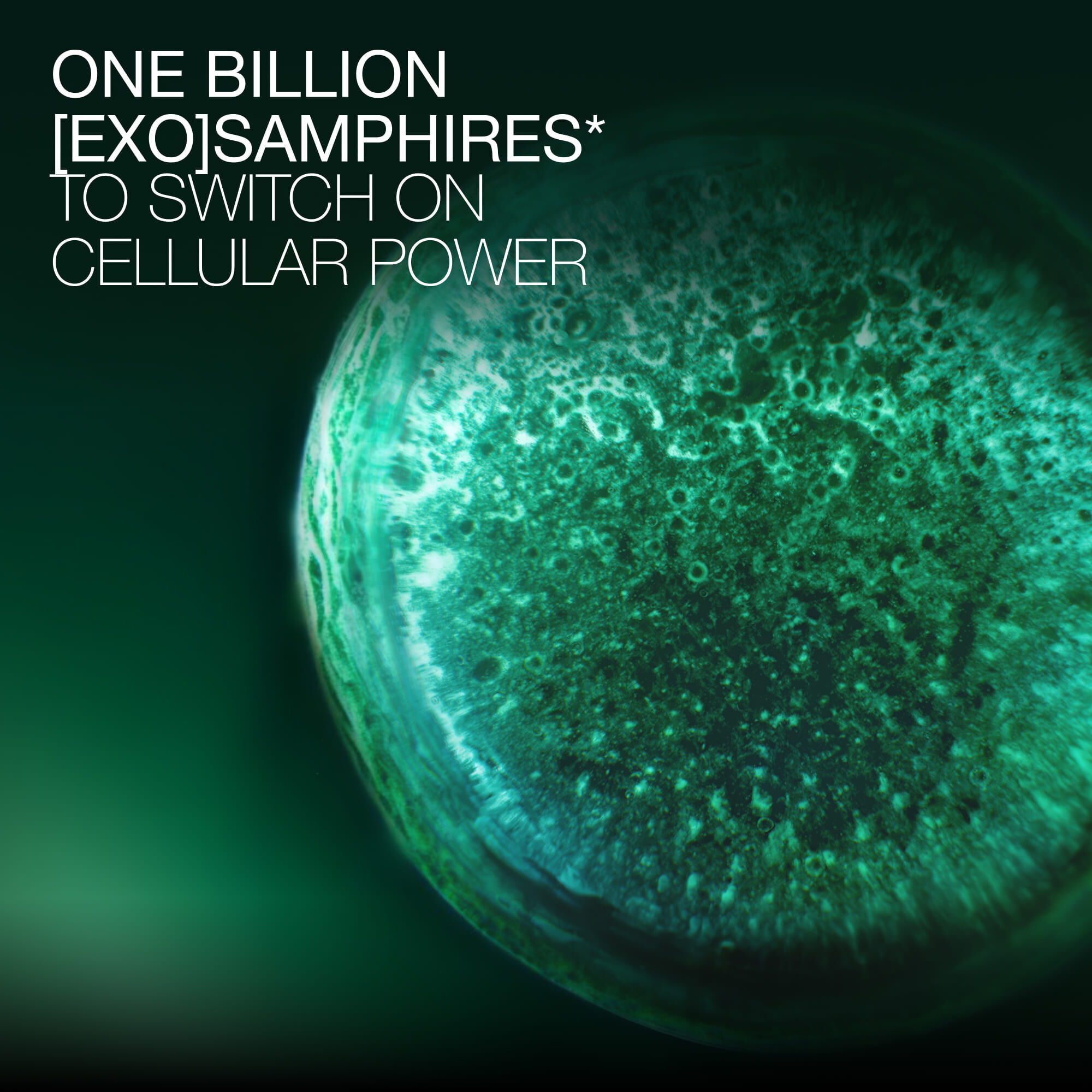 Microscopisch beeld van een miljard [EXO] Samphires gebruikt in Helena Rubinstein Powercell voor cellulaire energie.